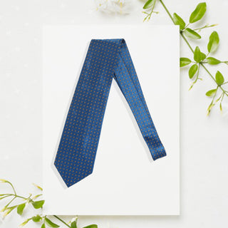Elegant men's necktie - made in Europe -8656